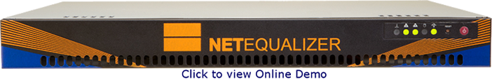 NetEqualizer Online Demo